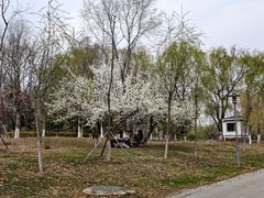 -莫子山公园