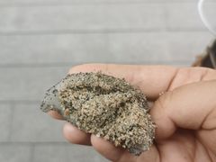 -叶氏麻糍(鼓浪屿店)