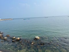 -养马岛旅游度假区