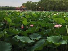 -南戴河国际娱乐中心