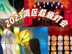 -欢乐海岸椰林沙滩-2025湾区超级灯会