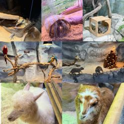 -Zoolung Zoolung动物主题公园(海信广场店)