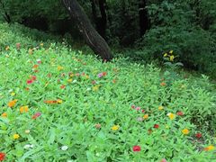 -长春市南湖公园