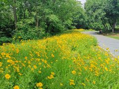 -盘龙城国家考古遗址公园