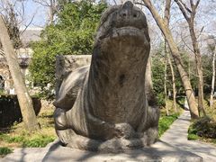 -灵谷景区