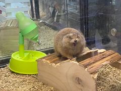 -宠物世家(仲盛世界商城店)