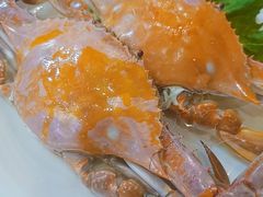 -鑫渔港海鲜本地菜·山海关浑锅(东戴河店)