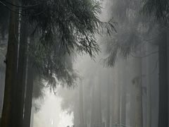 -太阳湾风景区
