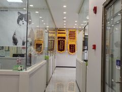 -瑞鹏宠物医院·微创内窥镜·骨外科·牙科(翠竹分院)