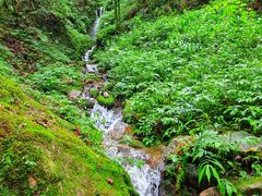 -西岭雪山大飞水景区