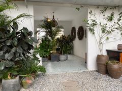 -云里小坐·小院里·团建·宴请·下午茶(三圣乡店)