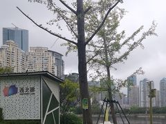 -西北湖绿化广场