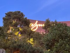 -拉斯维加斯永利酒店