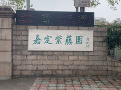 -嘉定紫藤园