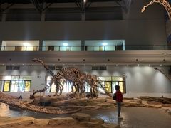 -自贡恐龙博物馆