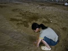 -天鹅湖体育公园