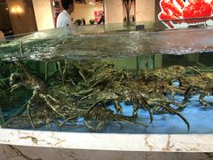 -旺顺阁海鲜广场(亚运村店)