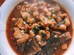 -全乐鱼馆·淳牌有机鱼直营店