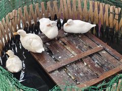 -胡椒厨房(学府凯德店)