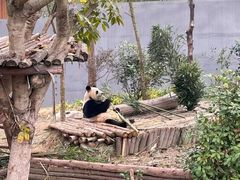 -春熙路步行街