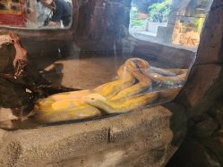 -Zoolung Zoolung动物主题公园(海信广场店)