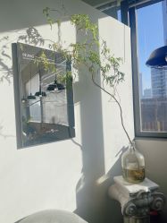 -飛凡TATTOO纹身•原创