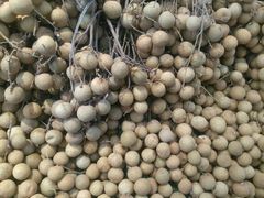 -果唯伊(共和新路店)