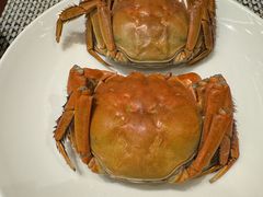 -景湖轩全日制餐厅·南湖名都