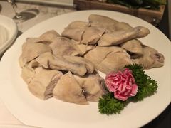 -汤城·料青山