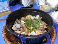 -千岛蚝高压锅生蚝·人参火锅(白云万达店)