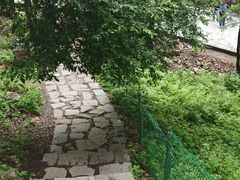 -帽儿山风景区
