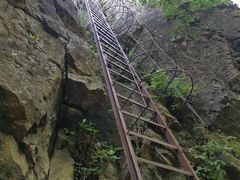 -玉泉威虎山森林公园