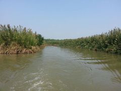 android_upload_pic-大湾区中央湿地公园