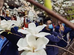 -大觉寺-停车场