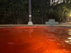 -天目湖涵田半山温泉