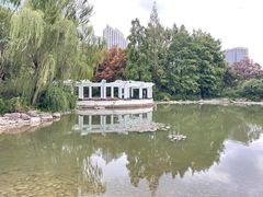 -新虹桥中心花园