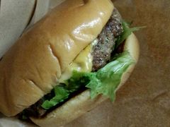 -网鱼网咖(金山卫零店)