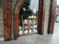 -郑州方特梦幻王国