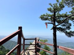-王顺山国家森林公园