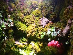-野菌皇海景野生菌火锅(滨海大道店)