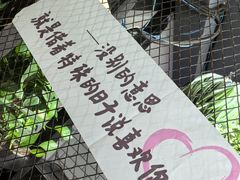 -米屋石锅拌饭(师大店)