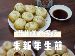 -朱新年·苏式汤团·面点(北寺塔店)