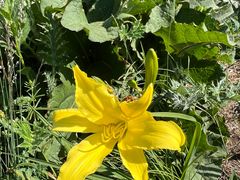 -白草畔自然风景区