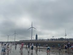 -奉贤海滩