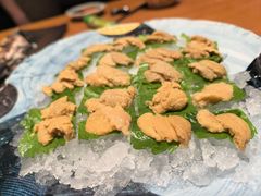 -月龍吟(朝龙汇店)