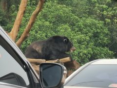 -海南热带野生动植物园