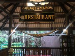 -卷心菜和避孕套餐厅(Pattaya)