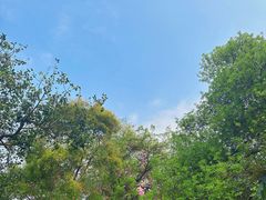 -深圳国际园林花卉博览园