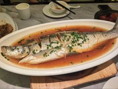 清蒸大白鱼-小峰饭店·35年锡帮菜