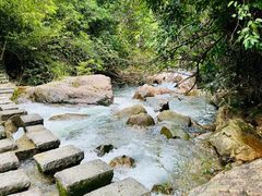 -广州白江湖森林公园